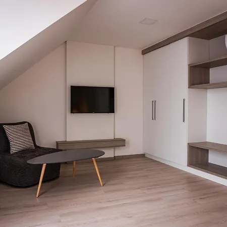 Apartmán Zámek - *